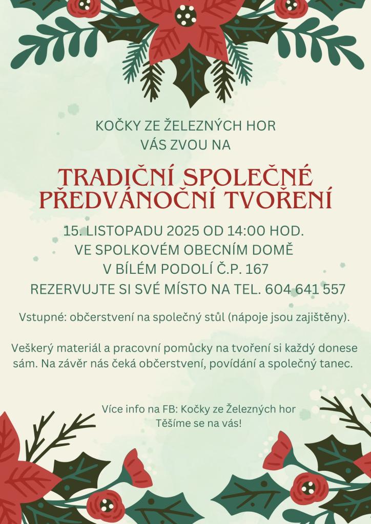 Předvánoční tvoření 15.11.2025